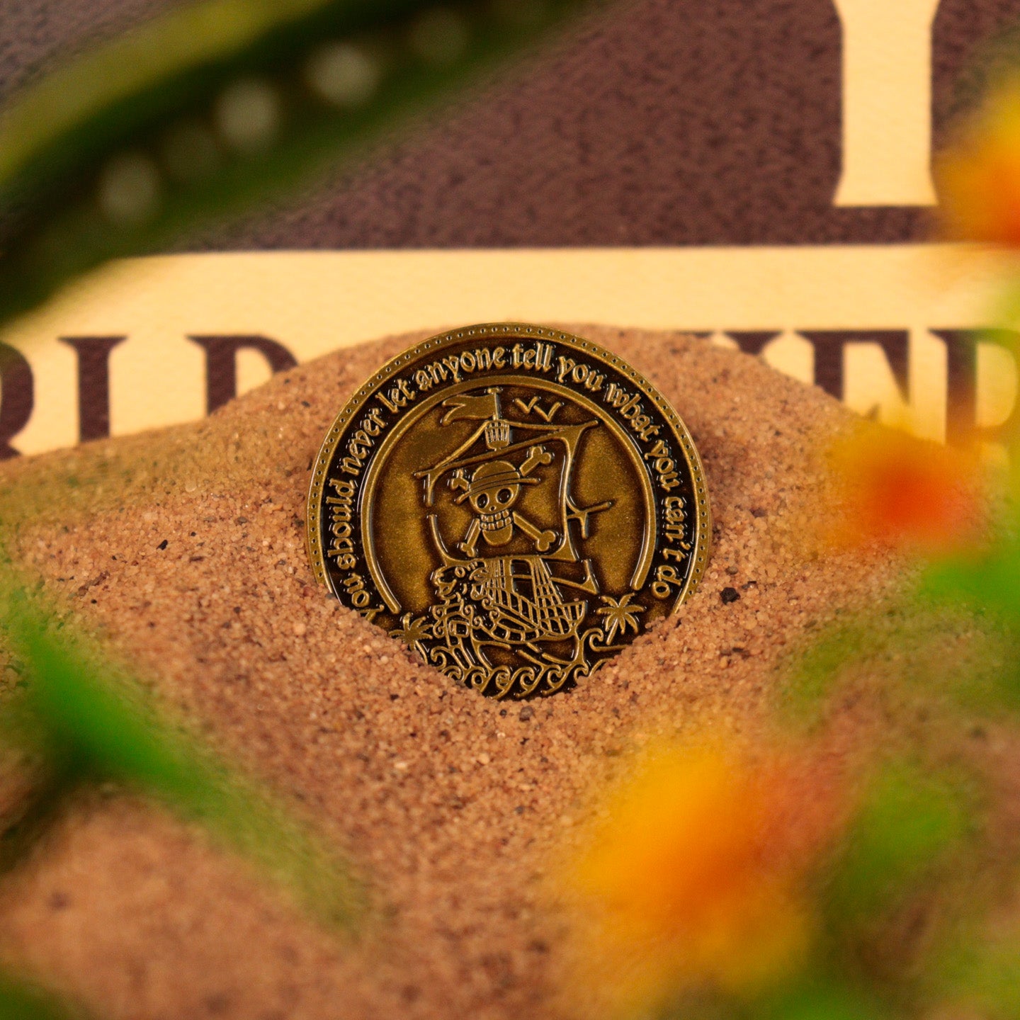 One Piece Limited Edition Collectible Coin Reverse Lifestyle