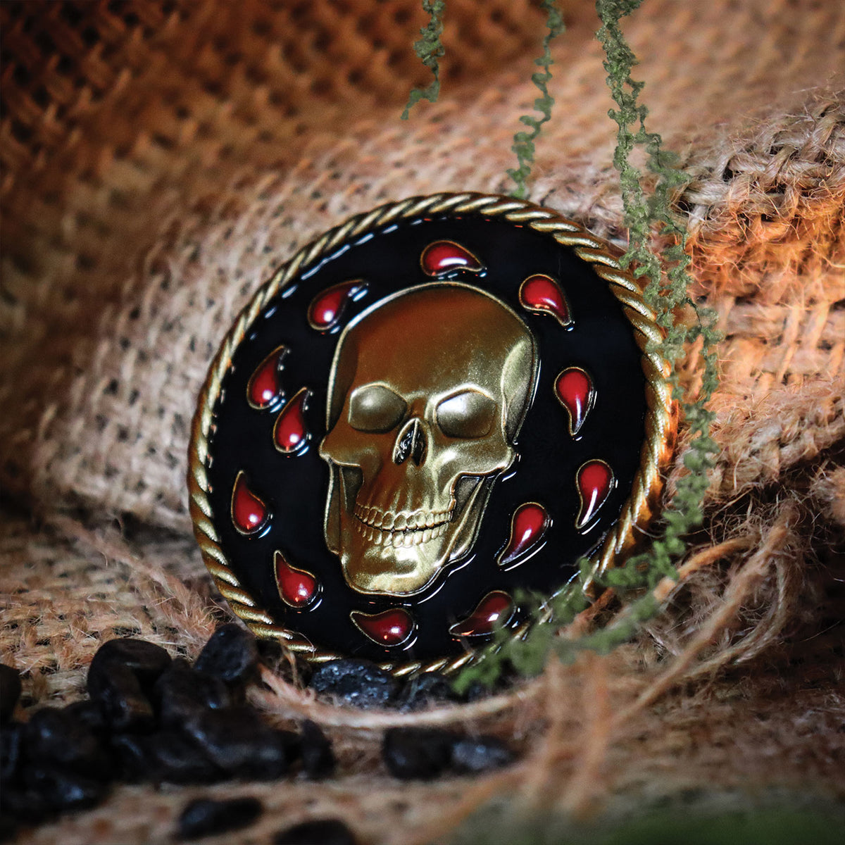 Dungeons & Dragons: Baldur’s Gate – Limited Edition Collector’s Set