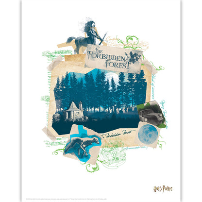 Harry Potter Limited Edition Lithograph Set