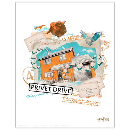 Harry Potter Limited Edition Lithograph Set