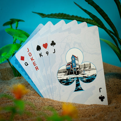 Jaws – Playing Cards CDU Containing 12 Packs