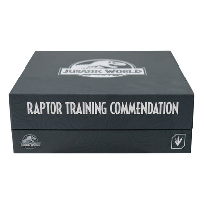Jurassic World Raptor Training Commendation Set