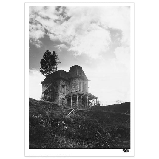 Alfred Hitchcock Psycho Limited Edition Art Print